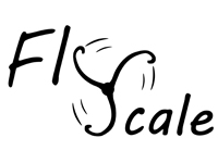 fly scale